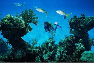 《死或生：女神假期》新作9月27日公布 带来全新体验